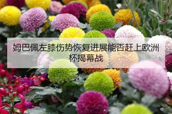姆巴佩左膝伤势恢复进展能否赶上欧洲杯揭幕战