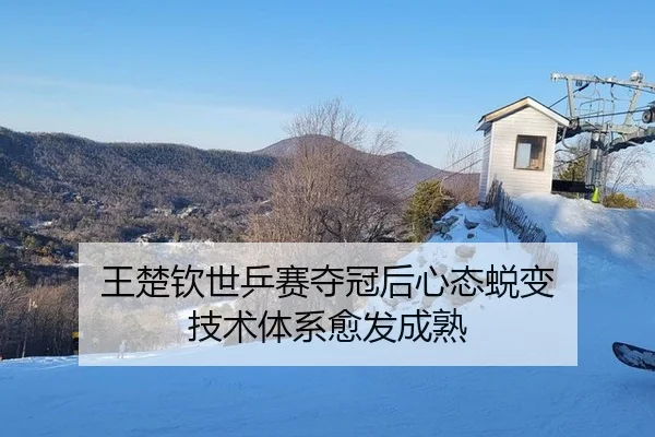 王楚钦世乒赛夺冠后心态蜕变 技术体系愈发成熟