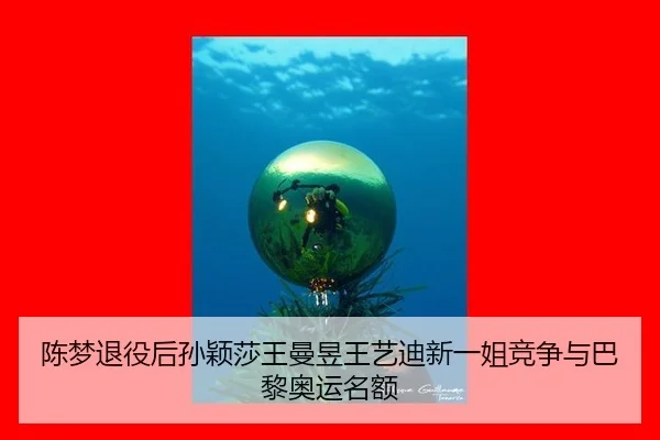 chen-meng-tui-yi-hou-sun-ying-sha-wang-man-yu-wang-yi-di-xin-yi-jie-jing-zheng-yu-ba-li-ao-yun-ming-e-3-912.jpg