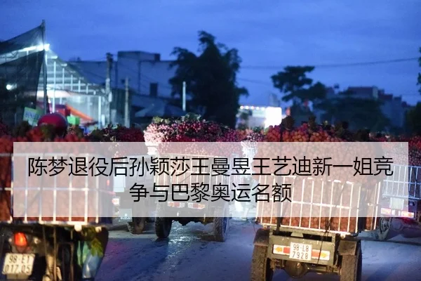 陈梦退役后孙颖莎王曼昱王艺迪新一姐竞争与巴黎奥运名额
