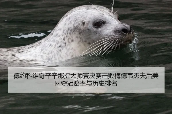 德约科维奇辛辛那提大师赛决赛击败梅德韦杰夫后美网夺冠赔率与历史排名